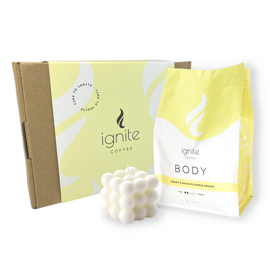 Brighten Solo Pack - Body