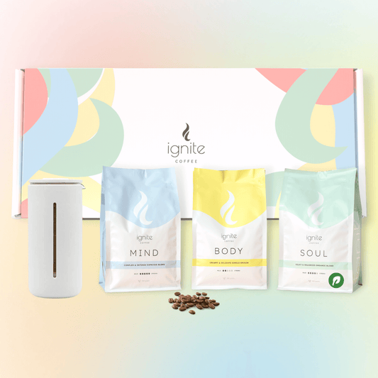 Coffee Starter Gift Pack - Timemore U French Press