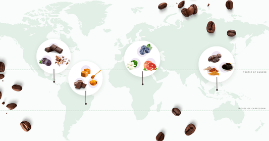 Coffee growing regions around the world and their flavour profiles