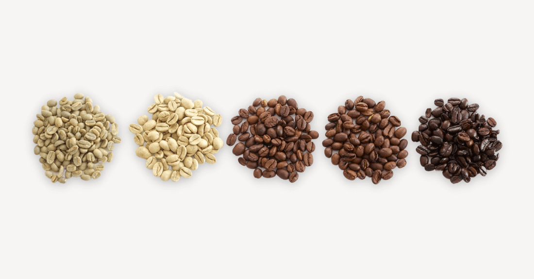 Coffee beans from raw green beans to light roast, medium roast and dark roast.